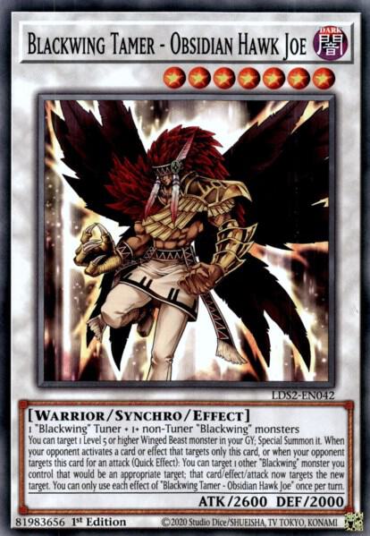 Blackwing Tamer - Obsidian Hawk Joe - Legendary Duelists: Season 2 LDS2-EN042